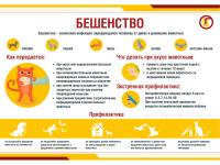 Вакцинация питомцев для профилактики зоонозных инфекций 