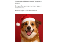 Благотворительная акция " Хвостатый Новый Год"