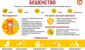 Вакцинация питомцев для профилактики зоонозных инфекций 